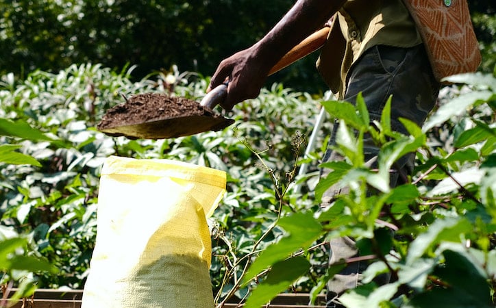 Adding compost to garden