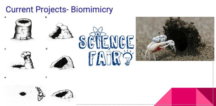 Biomimicry crab burrow project