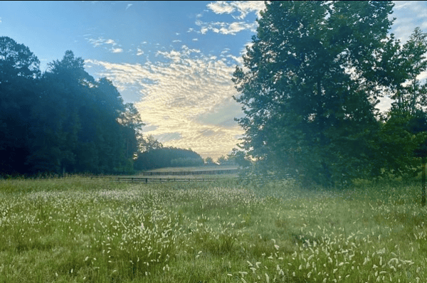 Drawdown Georgia Serenbe Forest