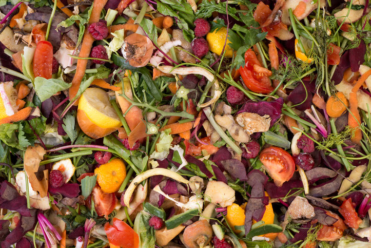 Drawdown Georgia food waste