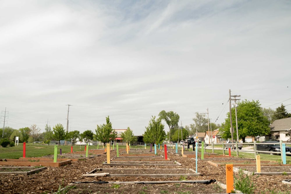 Drawdown Georgia- Community Garden