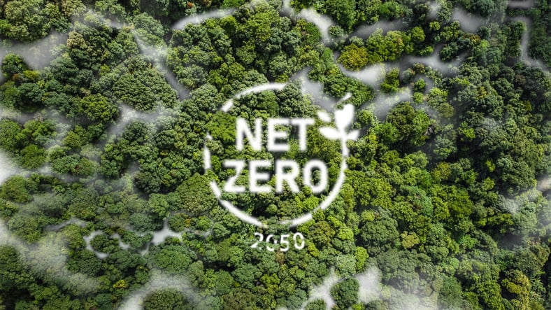 Net zero 2050