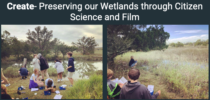 Tybee Island Maritime Academy Wetlands Experience