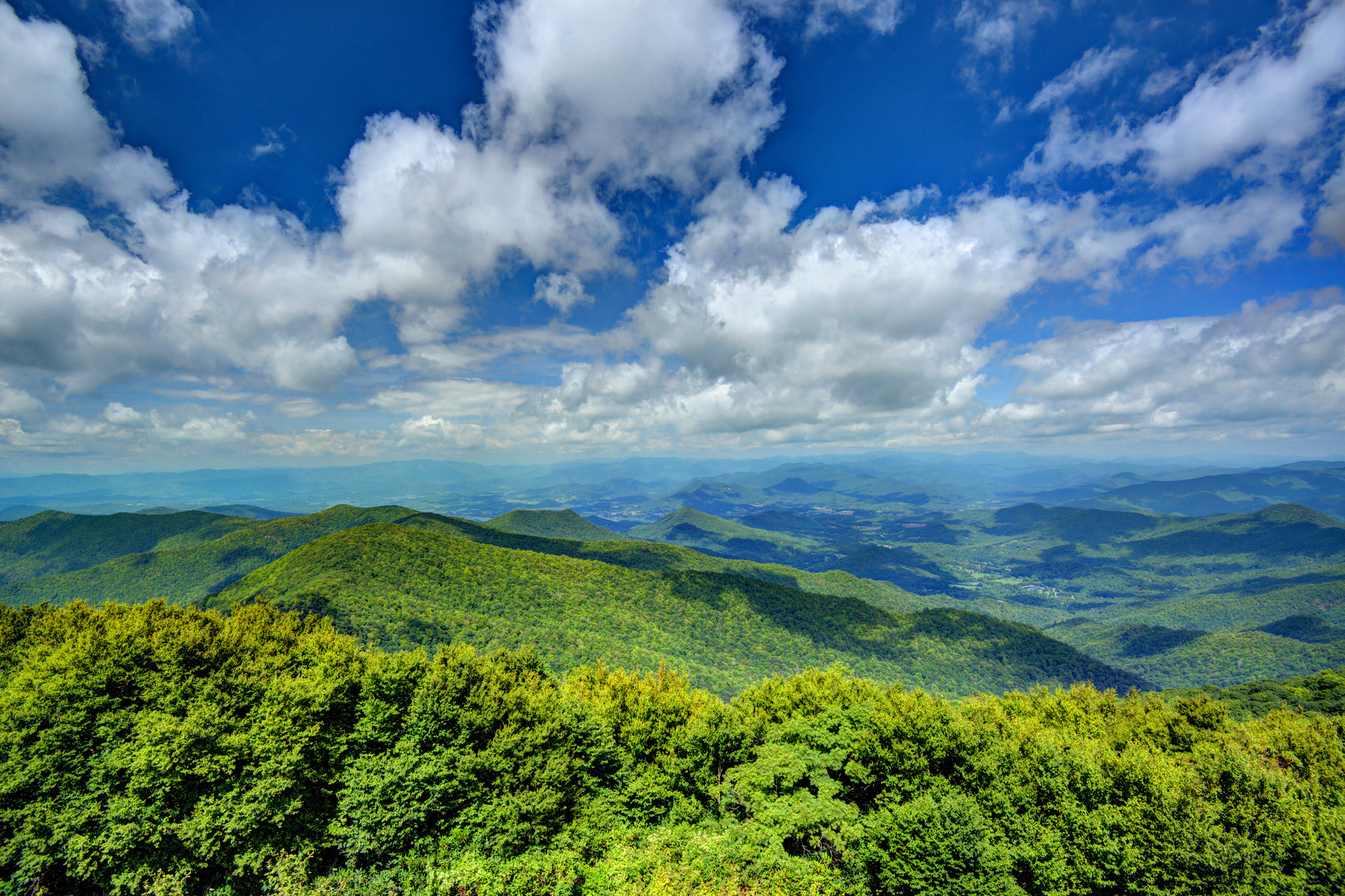 Georgia Conservation Tax Credit Promotes Forest Stewardship