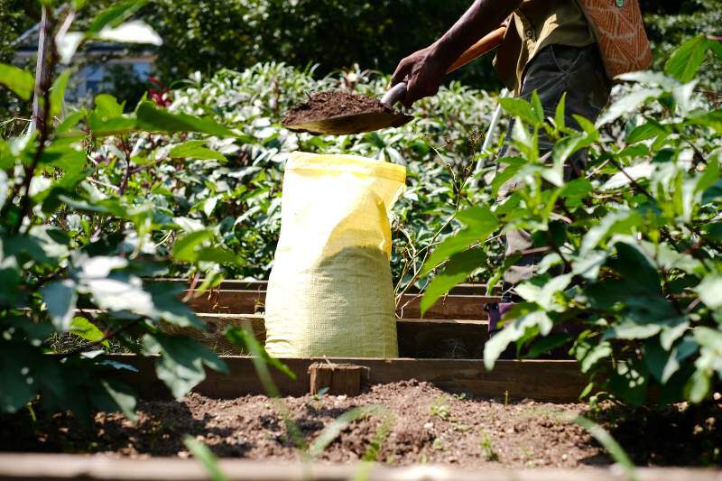 adding a shovel of compost to garden