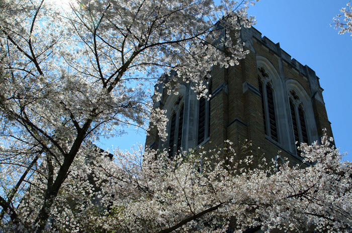 drawdown georgia catholic church