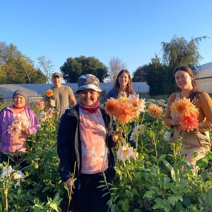 flower growers at 3 Porch Farm in Georgia