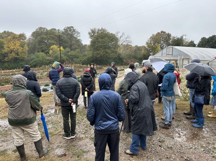 Attendees at a farmer field day hosted by Georgia Organics