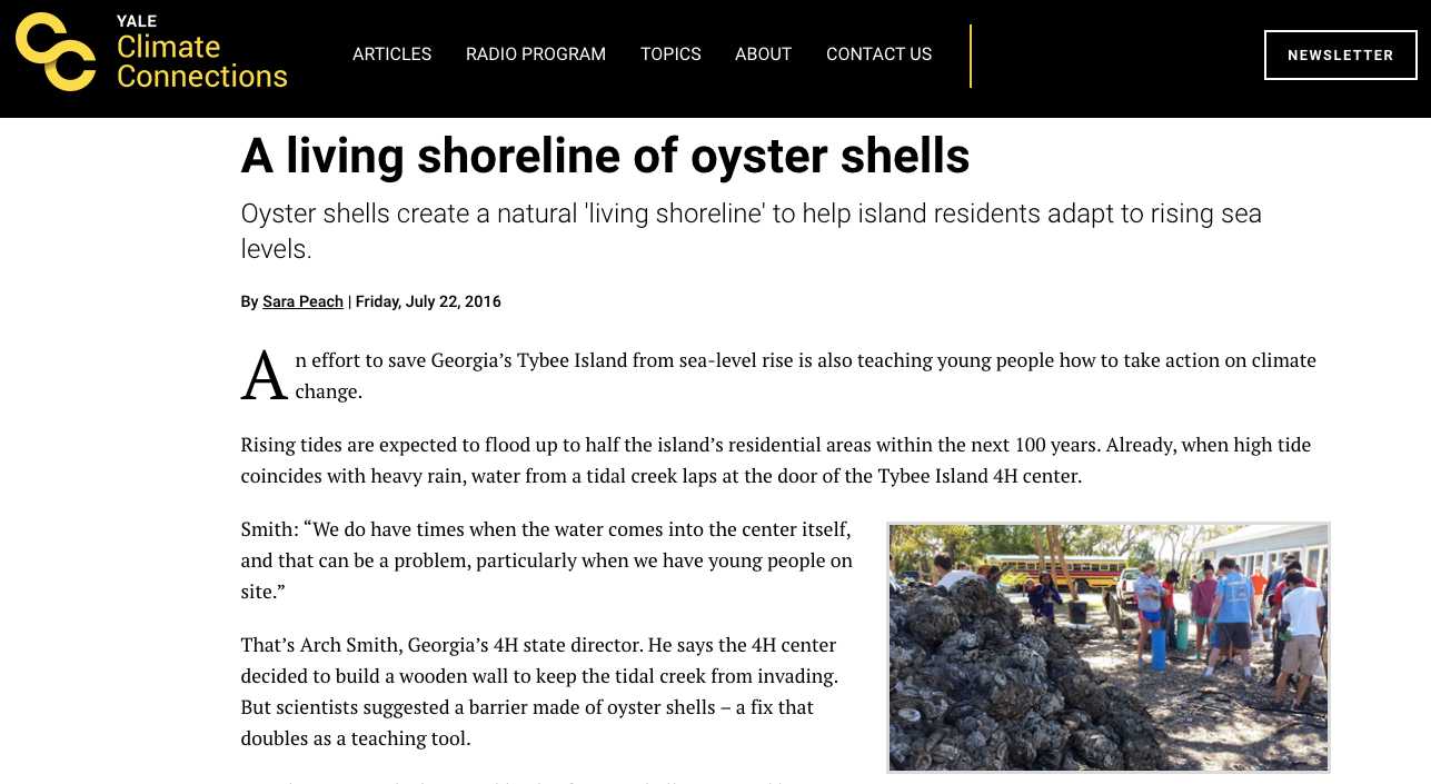 Addressing Rising Sea Levels with a Living Shoreline of Oyster Shells