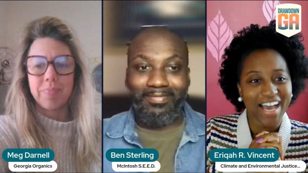 screenshot of Meg Darnell and Ben Sterling's video interview with Eriqah Vincent