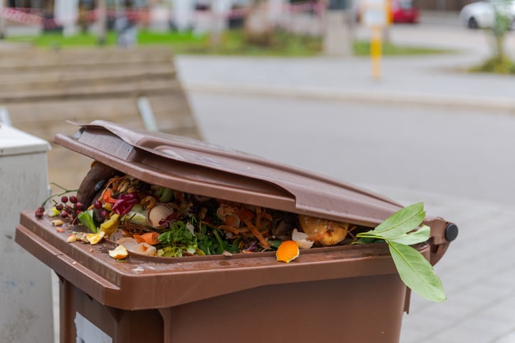 a curbside compost bin filled with vegetable trimmings